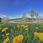 Seeblick - Tiny Nr 6