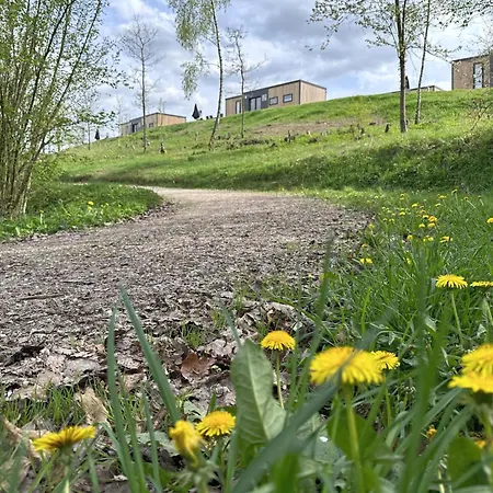Seeblick - Tiny Nr 6 *