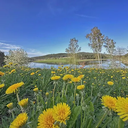 Seeblick - Tiny Nr 6