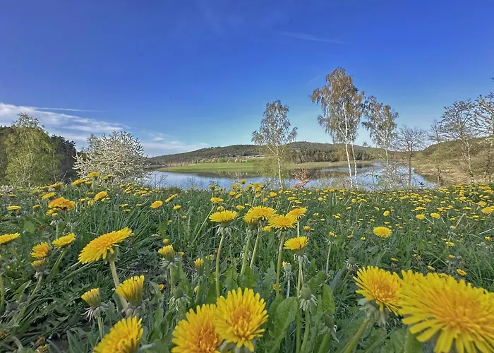 Seeblick - Tiny Nr 6